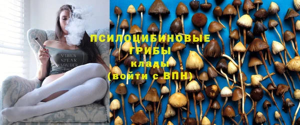 apvp Волоколамск