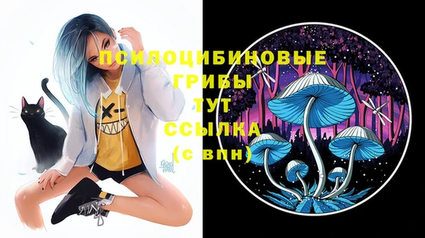 apvp Волоколамск