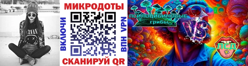 купить цена нарко площадка официальный сайт Галлюциногенные грибы Psilocybine cubensis Павловская